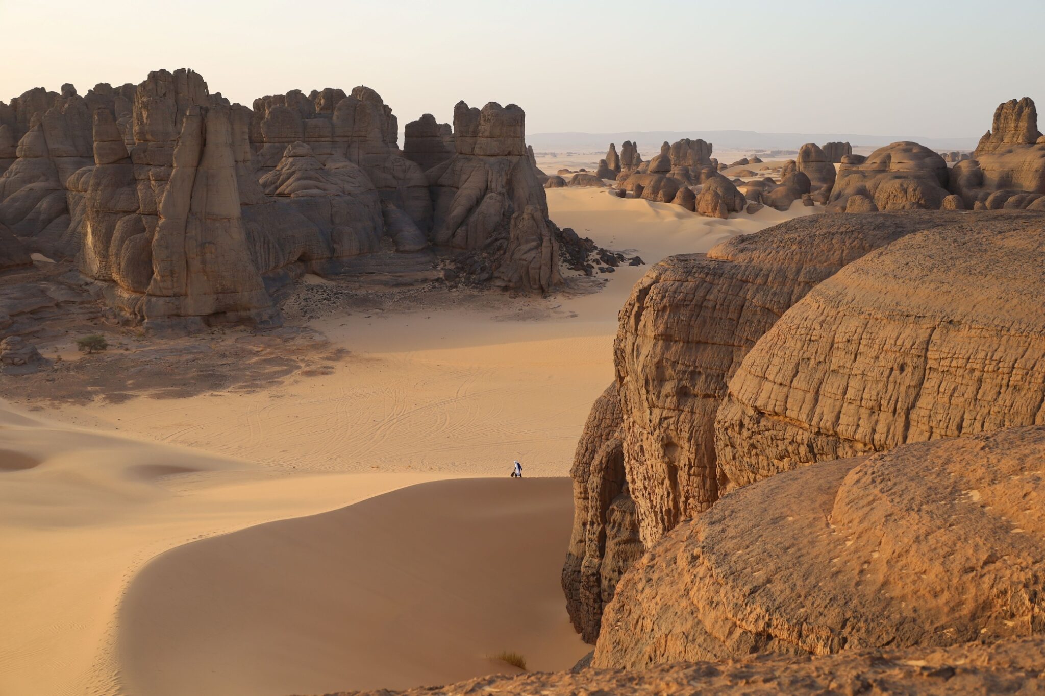 Souleyman Ag Anara - Ténéré Nord Niger